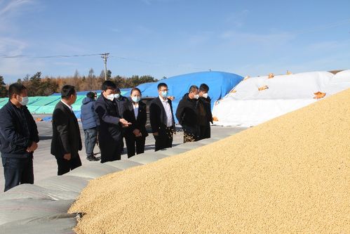 由“種得好”到“賣得好” 長水河農場的糧食收購樣本觀察